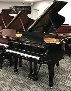 Steinway M Piano S